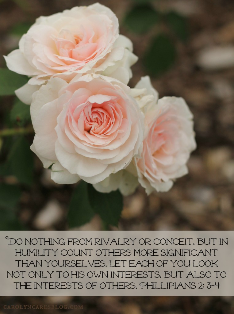 Agvocates do nothing from rivalry or conceit